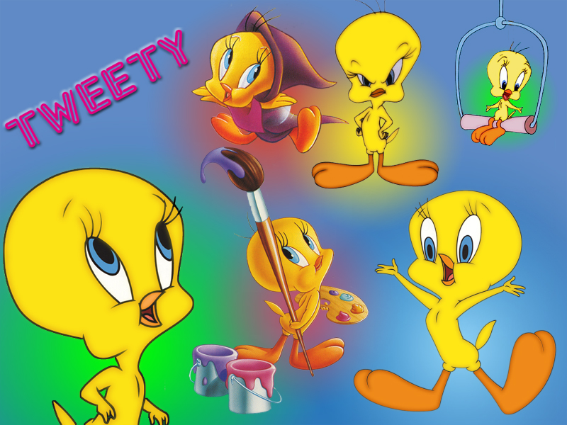 Tweety 800.jpg (350537 bytes)