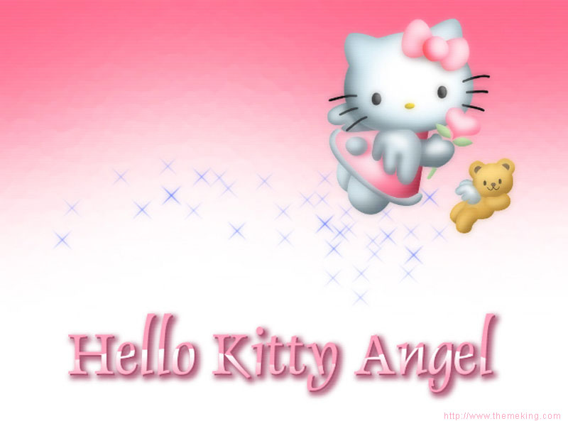 kitty 800.jpg (63646 bytes)