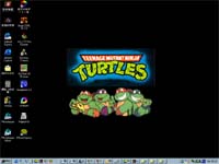 turtles1.JPG (10154 bytes)